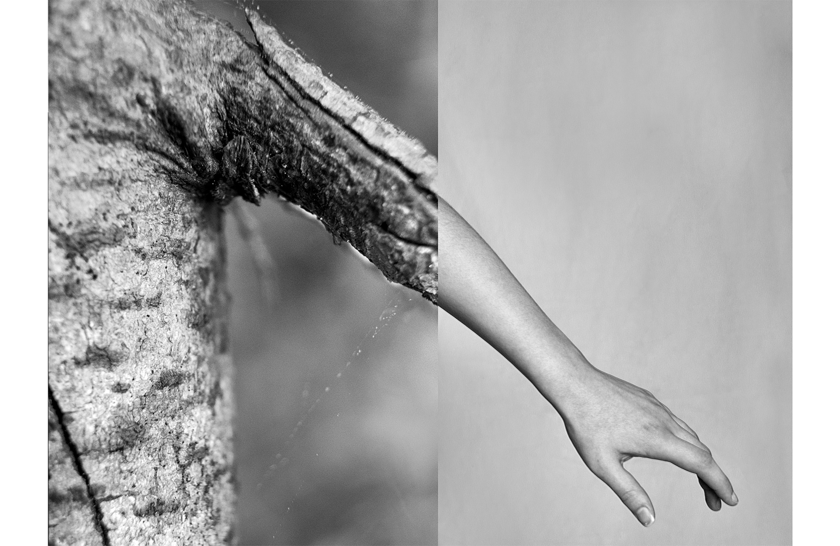 annemieke-tonnaer-photography-human-nature