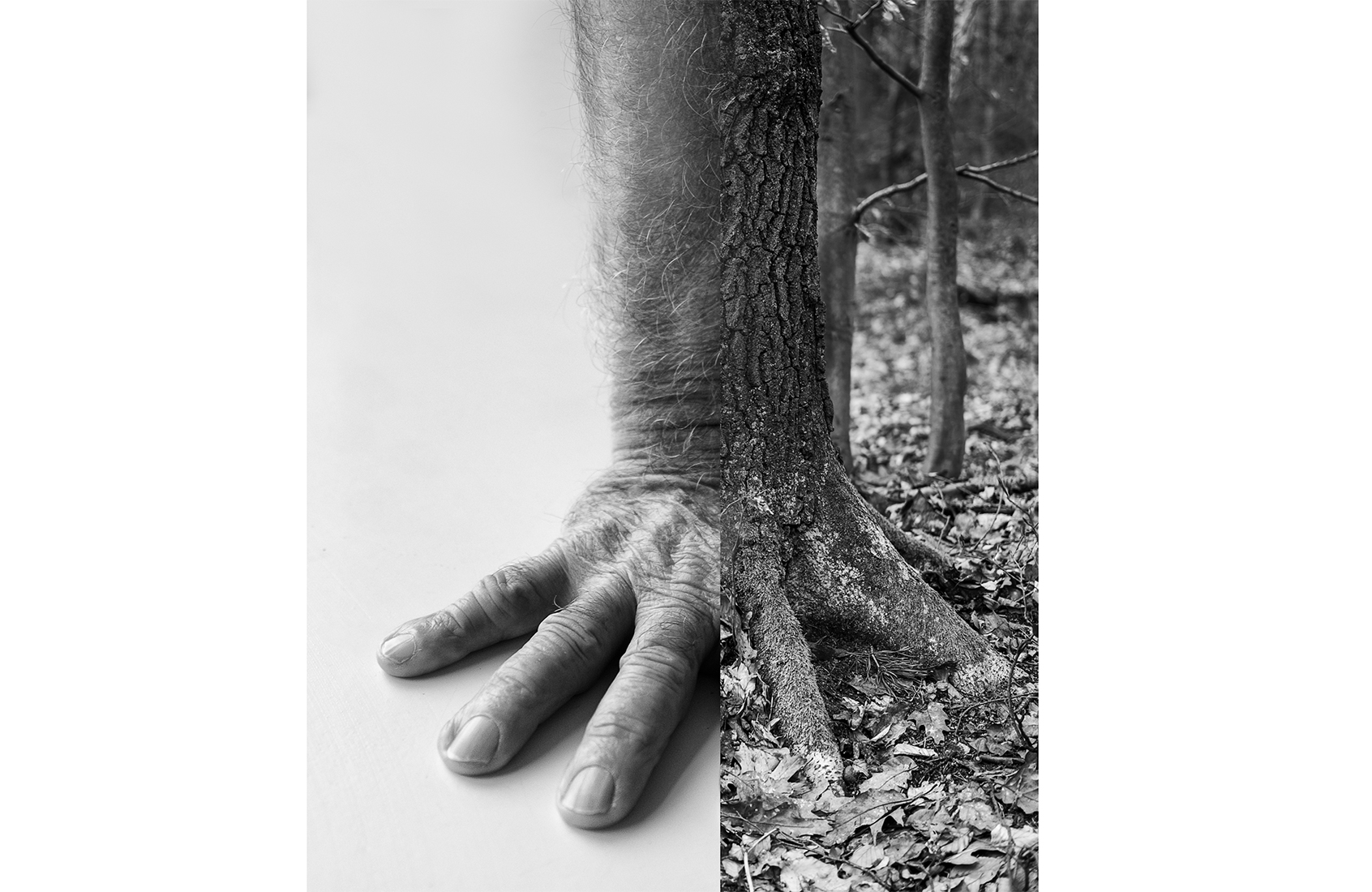 Annemieke Tonnaer Photography Human Nature